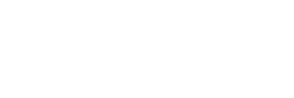 Copa Racer